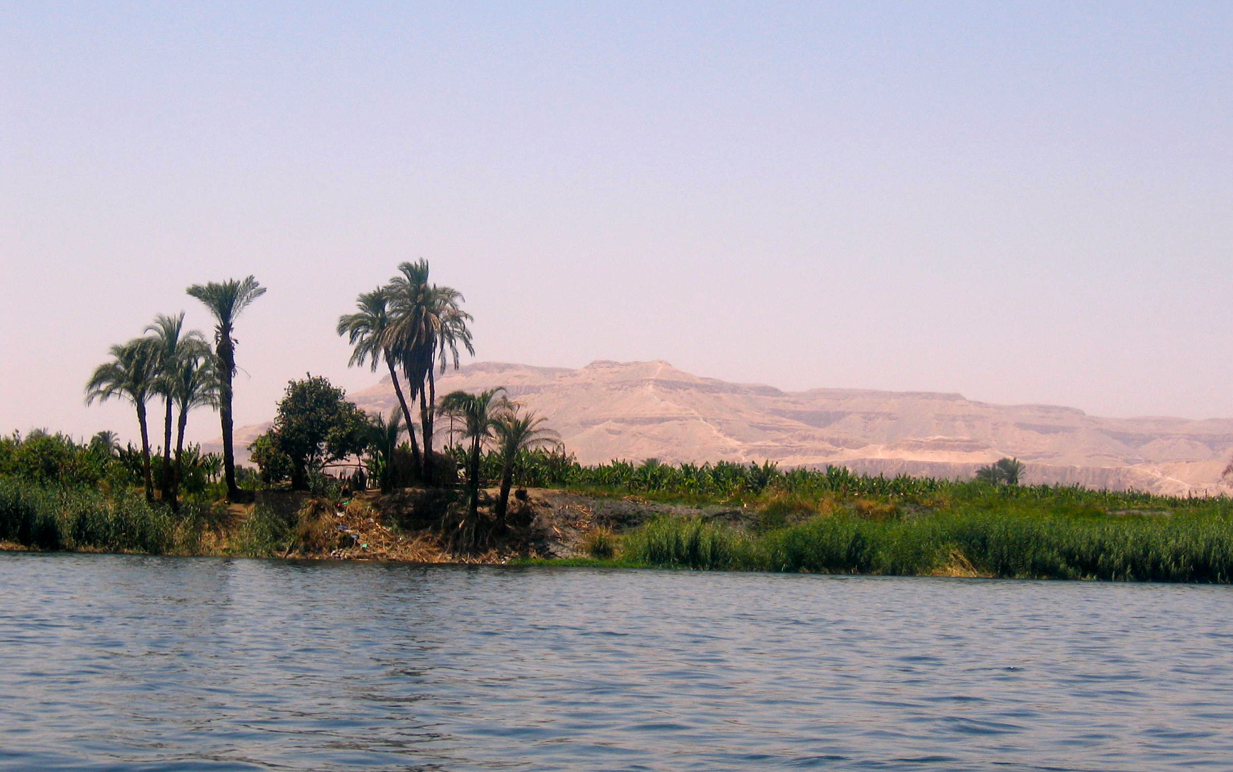 Какая природа египта. Нильский Оазис.